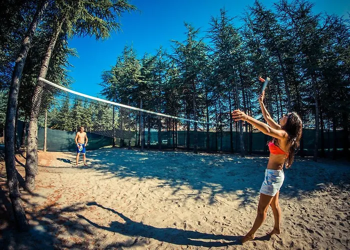 Apartman Sea Club Complex *